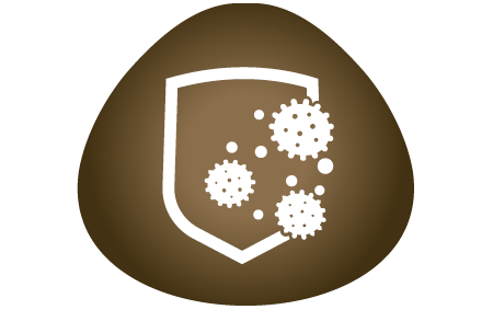 icon4-supports-immune-system